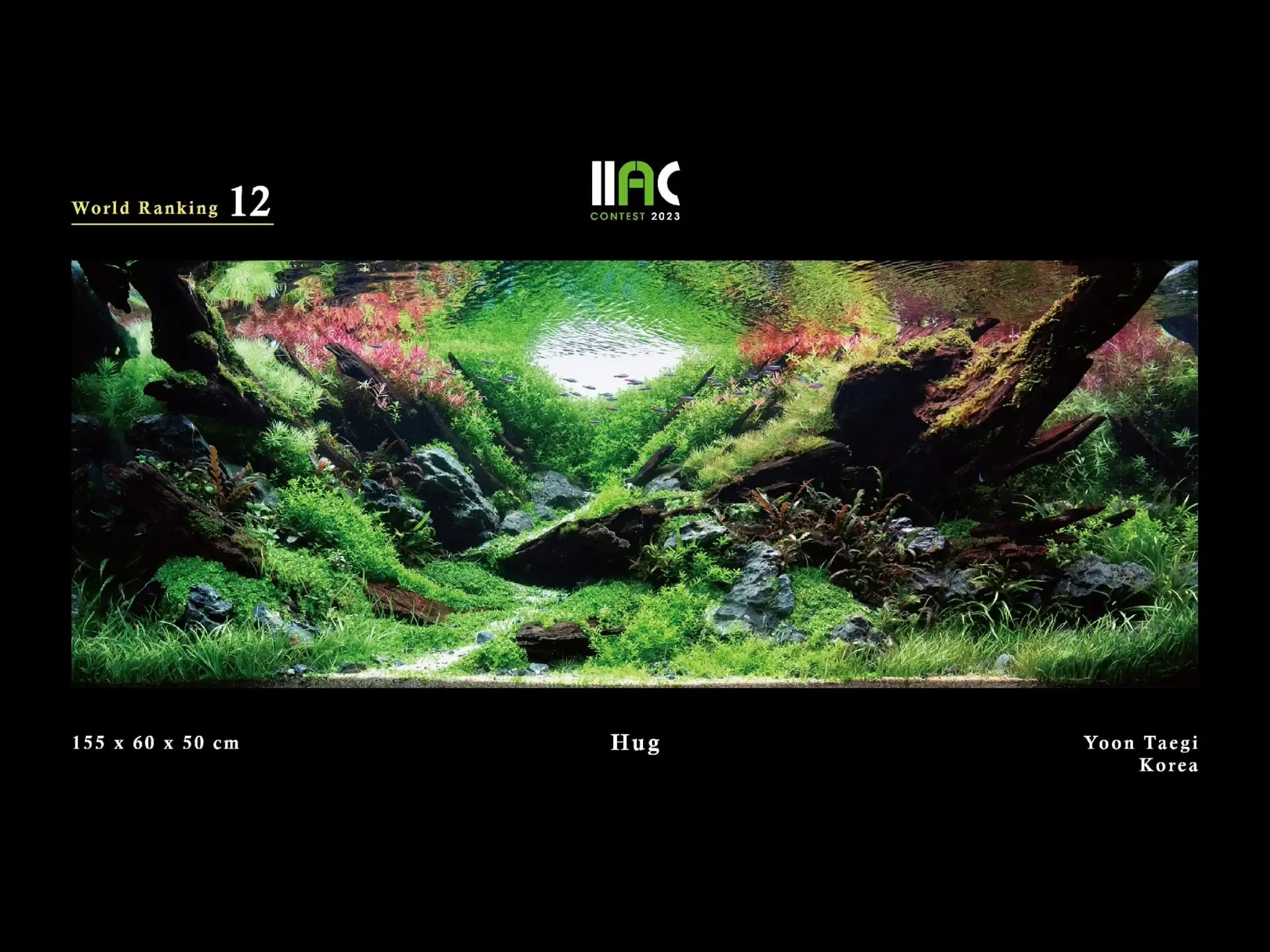 Hug - IIAC 2023 #12 Yoon Taegi / South Korea